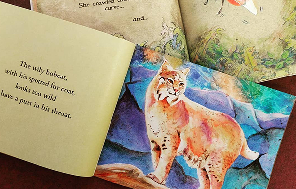 color book printing